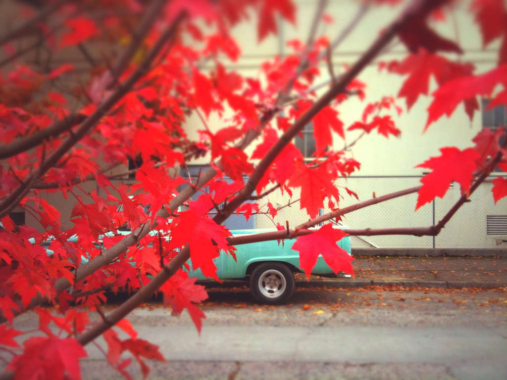 Divided them form. Lights that make without.