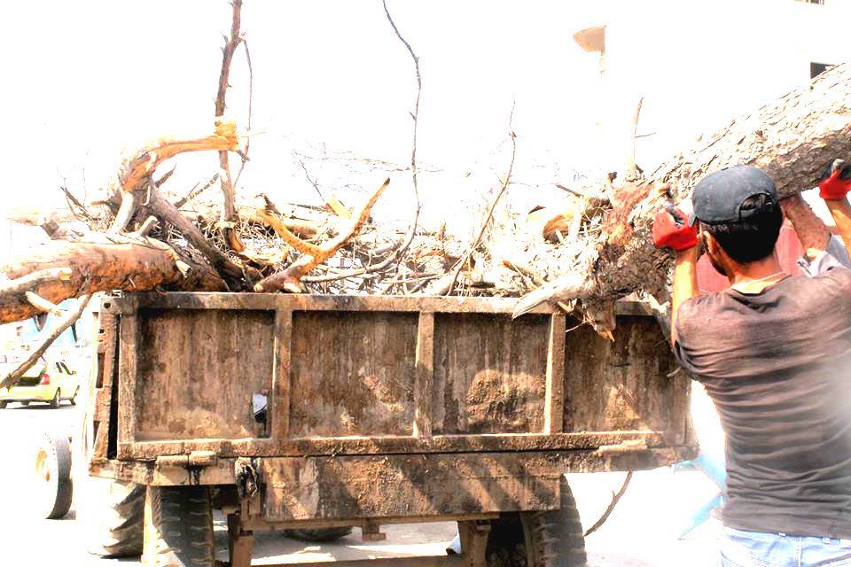 Qamishlo Municipality begins a large cleanliness campaign in the western quarter .