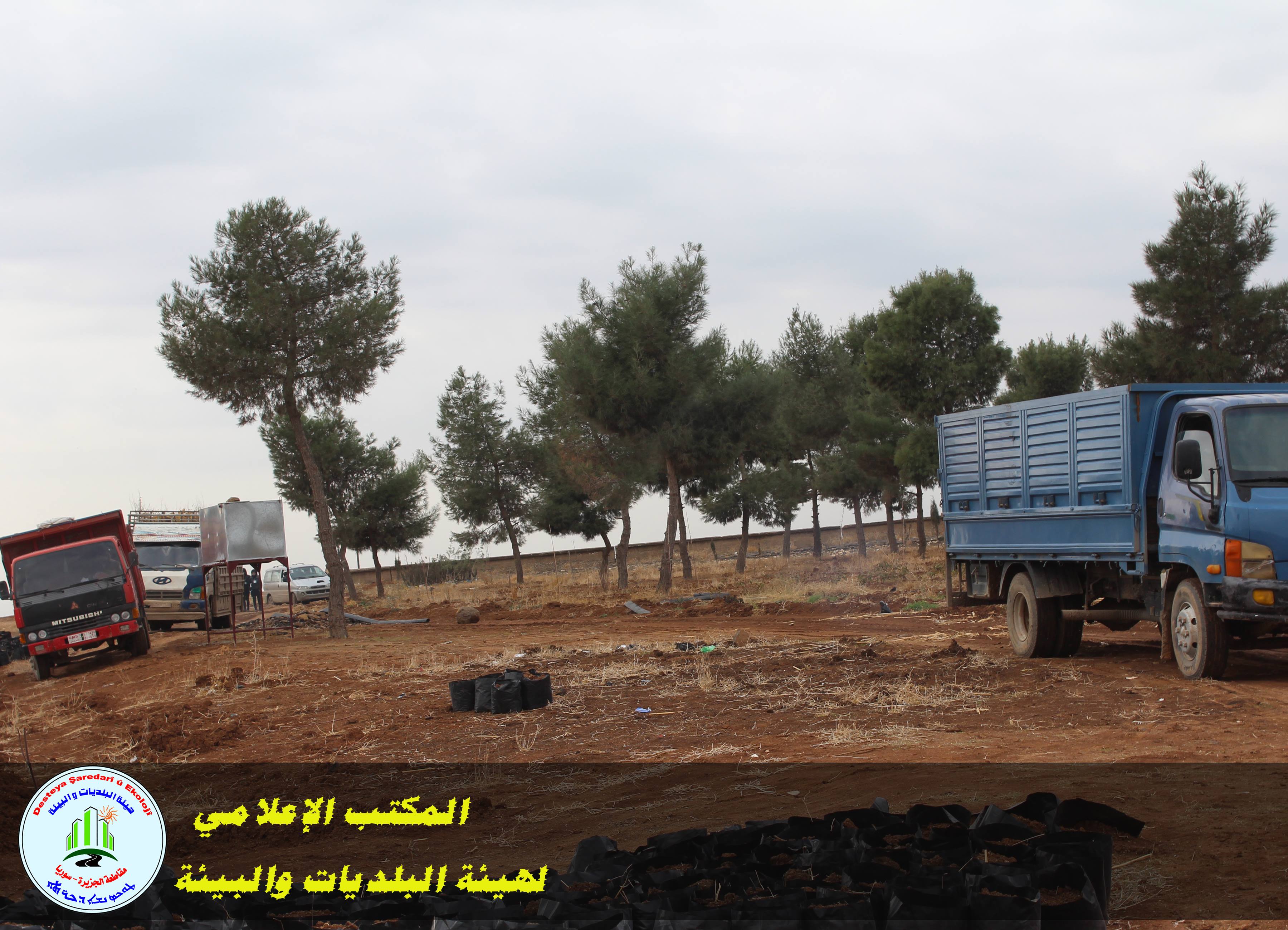 Planting about 5000 trees in Mezgafte within a campaign under the logo ” We love our country … we will make it clean “