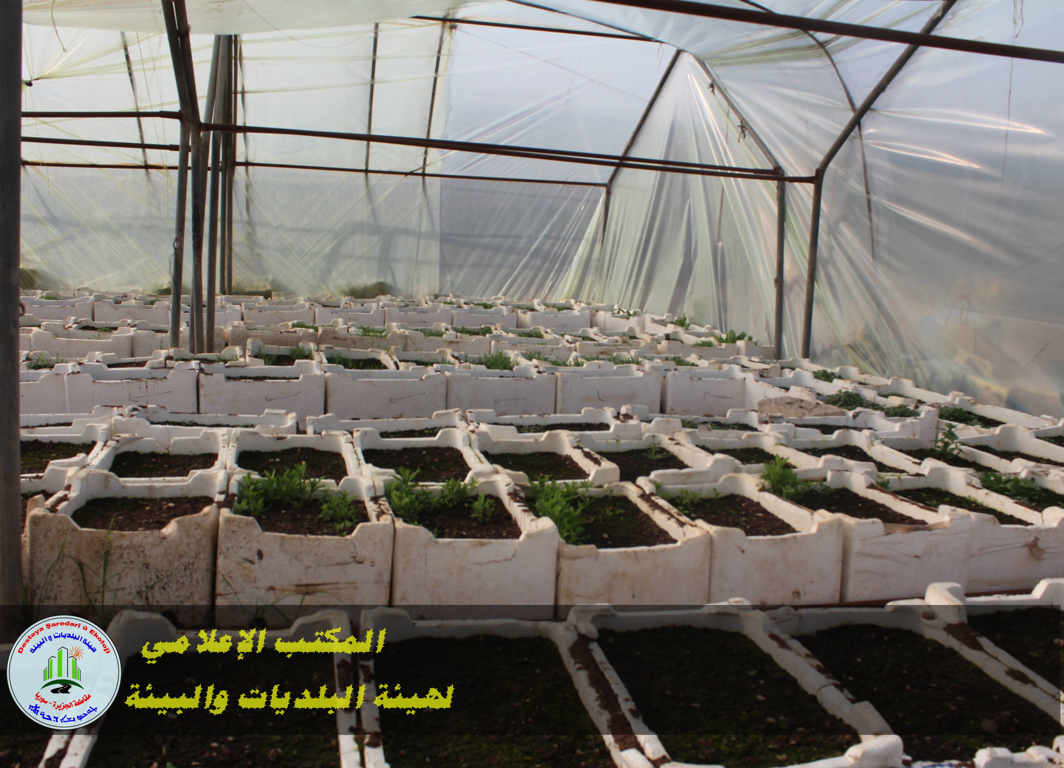 The agronomist Marwa Abbas said:” we had finished a new study for the general arboretum of the Environment Department .